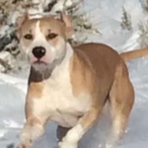 Meet your Posher, Mark